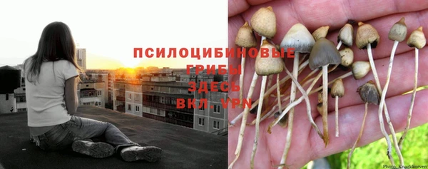 экстази Аркадак