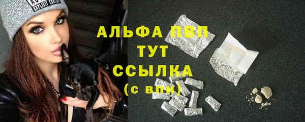 винт Арсеньев